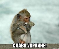  слава украине!