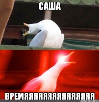 саша времяяяяяяяяяяяяяяя