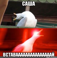 саша вставааааааааааааааай