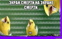 экран смерти на экране смерти. 