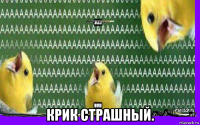  крик страшный.