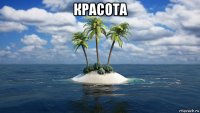 красота 