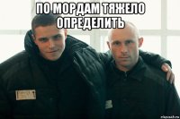 по мордам тяжело определить 