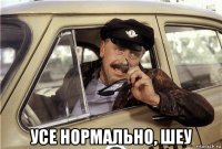  усе нормально, шеу