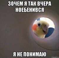 зочем я так вчера ноебенився я не понимаю