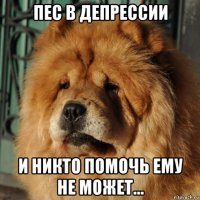 пес в депрессии и никто помочь ему не может...