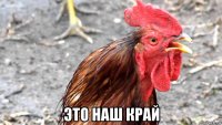  это наш край