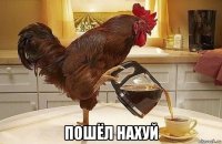  пошёл нахуй
