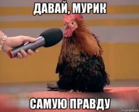 давай, мурик самую правду