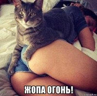  жопа огонь!