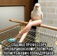  спасибо профессору преображенскому! полиграф полиграфович попкадураков