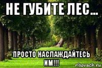 не губите лес... просто наслаждайтесь им!!!