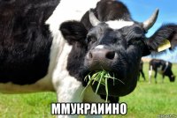  ммукраиино