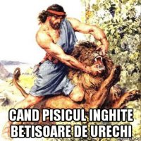  cand pisicul inghite betisoare de urechi