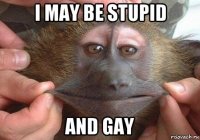 i may be stupid and gay