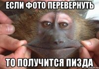 если фото перевернуть то получится пизда