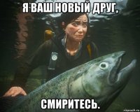 я ваш новый друг, смиритесь.