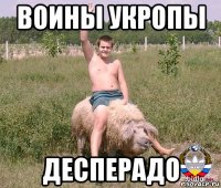 воины укропы десперадо