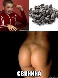  свинина