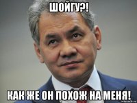 шойгу?! как же он похож на меня!