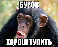 буров хорош тупить