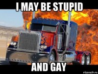 i may be stupid and gay