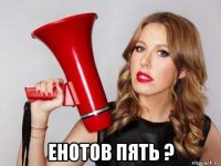  енотов пять ?