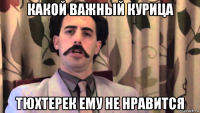 какой важный курица тюхтерек ему не нравится