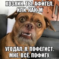 хозяин. ты. афигел. или. как. м угодал. я. пофегист. мне. всё. пофигу.