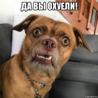 да вы охуели! 