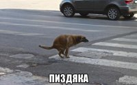  пиздяка