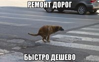 ремонт дорог быстро дешево