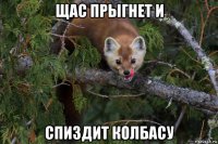 щас прыгнет и спиздит колбасу