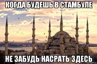 когда будешь в стамбуле не забудь насрать здесь
