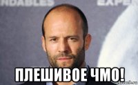  плешивое чмо!