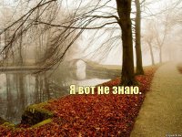 Я вот не знаю.