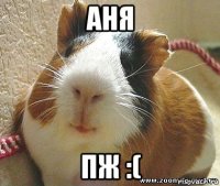 аня пж :(