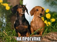  на прогулке