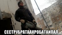  сеструбратаакробатаипал