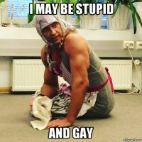 i may be stupid and gay