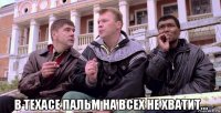  в техасе пальм на всех не хватит...