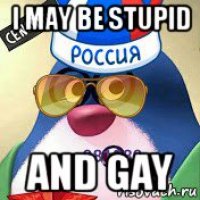 i may be stupid and gay