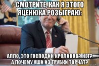 смотрите, как я этого яценюка розыграю: алло, это господин кроликов? нет? а почему уши из трубки торчат?