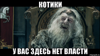 котики у вас здесь нет власти