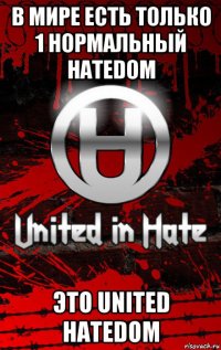 в мире есть только 1 нормальный hatedom это united hatedom