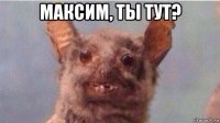 максим, ты тут? 