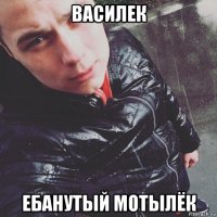 василек ебанутый мотылёк