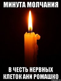 минута молчания в честь нервных клеток ани ромашко