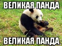 великая панда великая панда