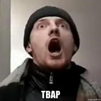  твар